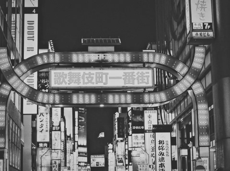 The Kabukicho Ichibangai gate and neon signs at night. Black-and-white photo.
